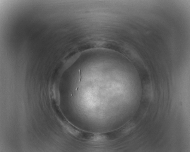 X0000083040274200702091417