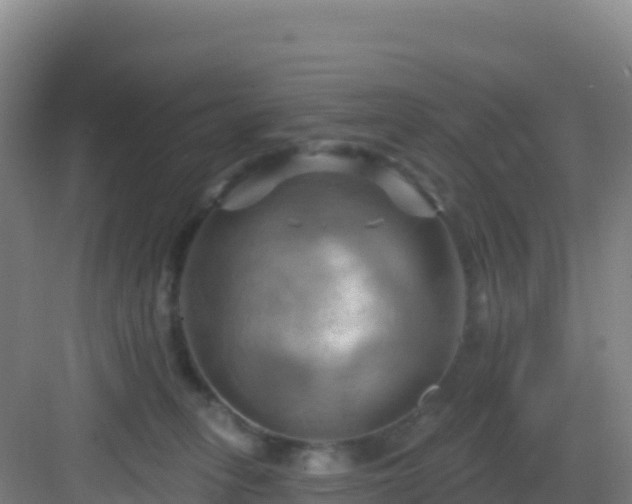 X0000083040275200702091417