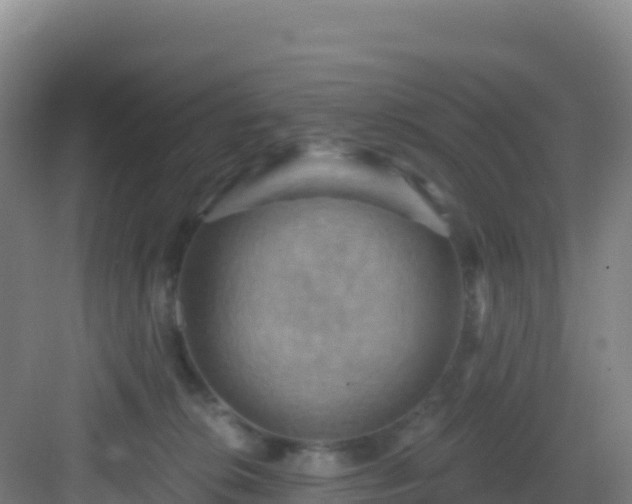 X0000083040276200702091417