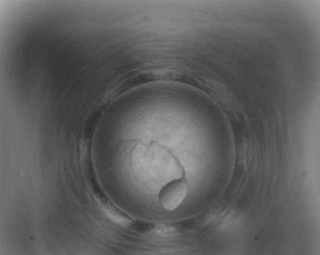 X0000083040278200702091417