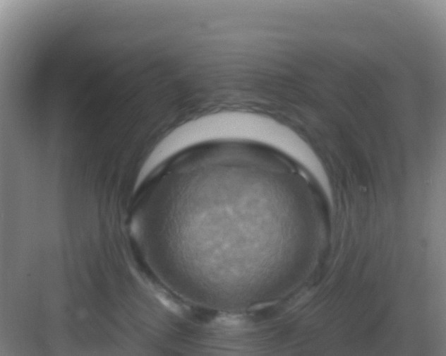 X0000083040280200702091417