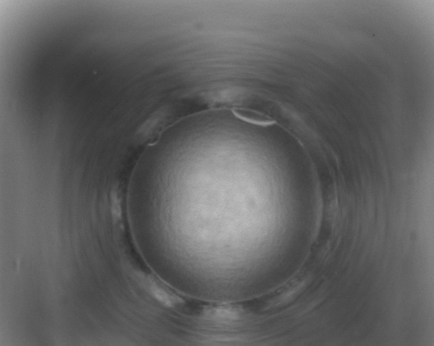 X0000083040282200702091417