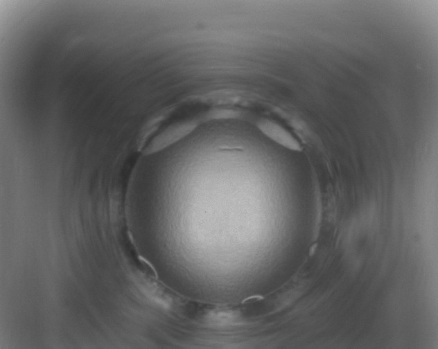 X0000083040283200702091417