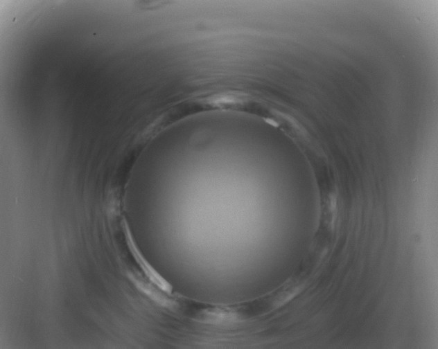 X0000083040284200702091417