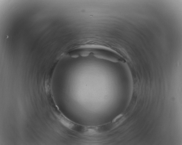 X0000083040285200702091417