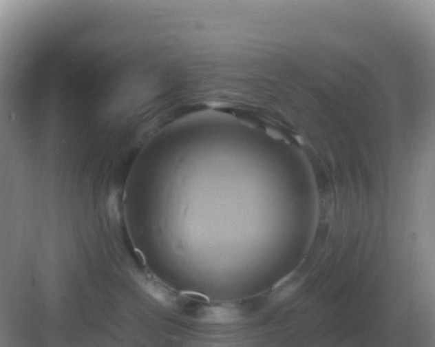 X0000083040286200702091417