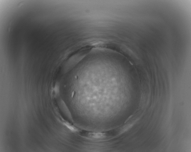 X0000083040288200702091417