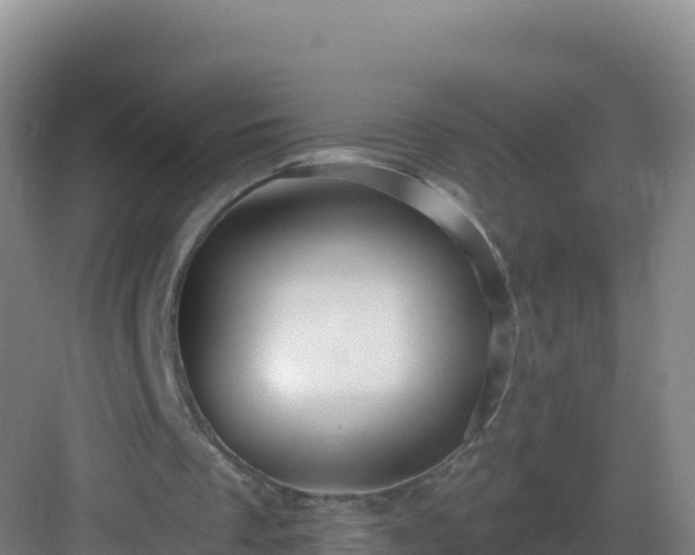 X0000083040289200702091416