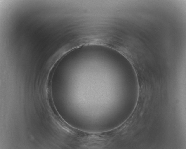 X0000083040290200702091416