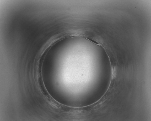 X0000083040291200702091416