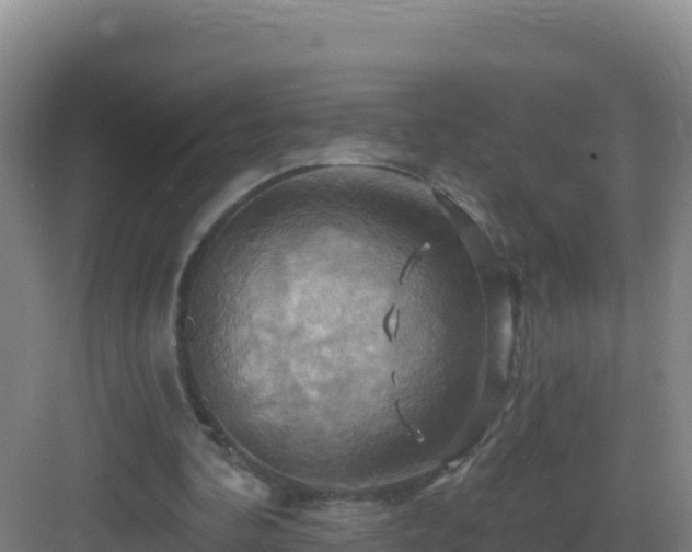 X0000083040292200702091416