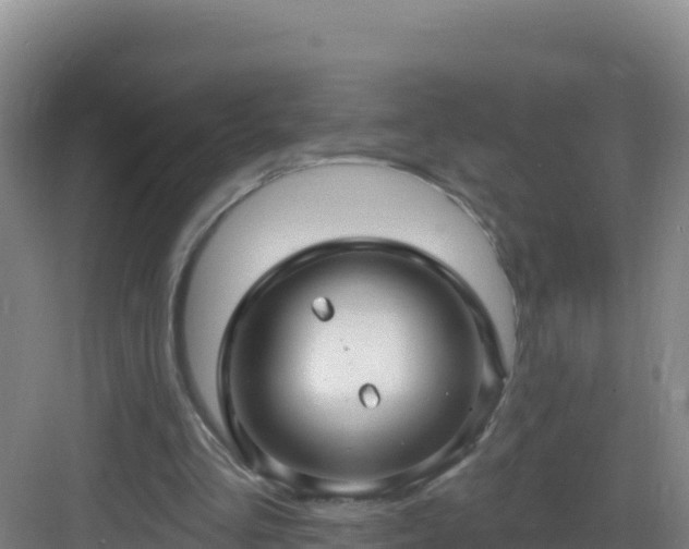 X0000083040293200702091416