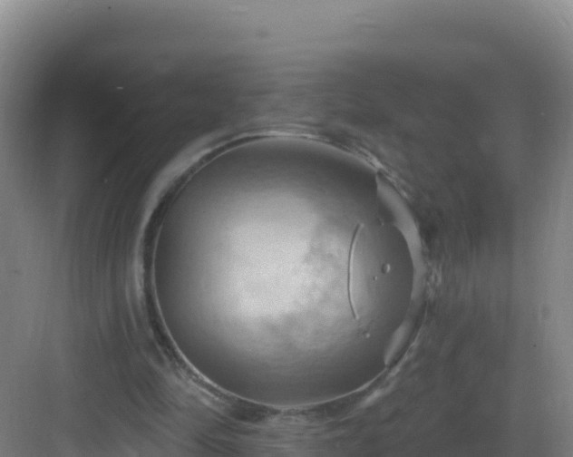 X0000083040294200702091416