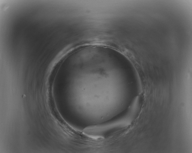 X0000083040295200702091416