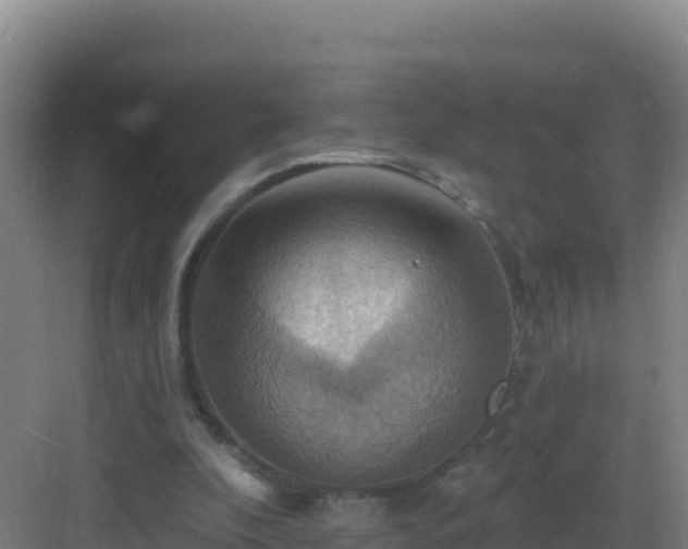 X0000083040296200702091416