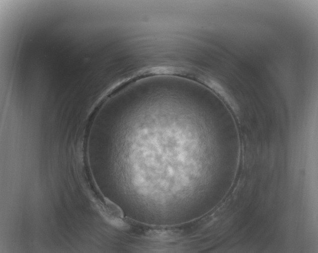 X0000083040297200702091416