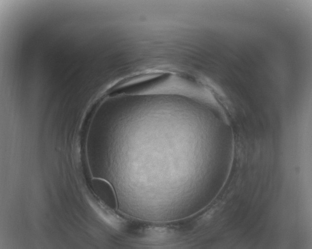 X0000083040298200702091416