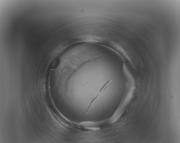 X0000083040299200702091416