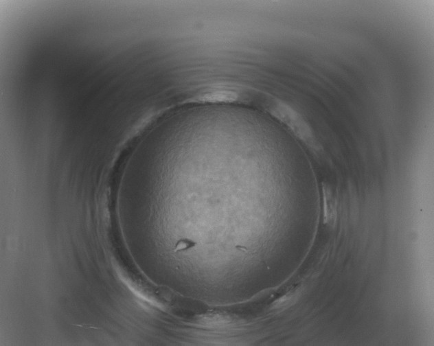 X0000083040300200702091416