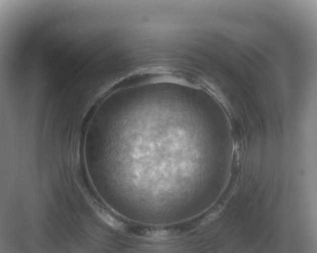 X0000083040301200702091416