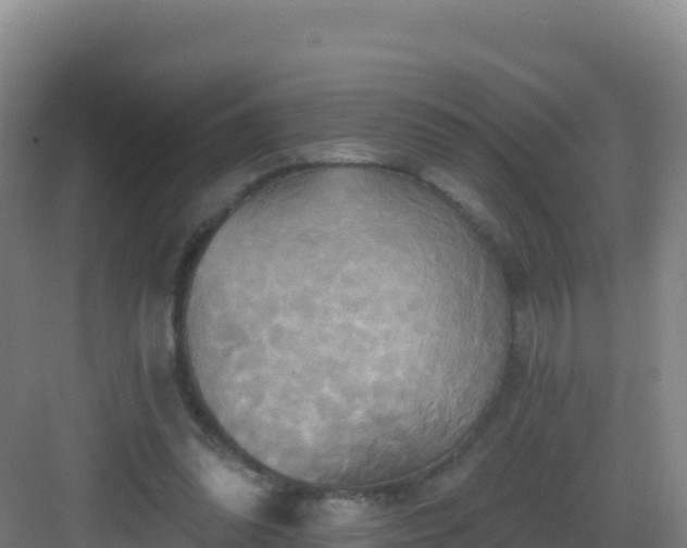 X0000083040302200702091416