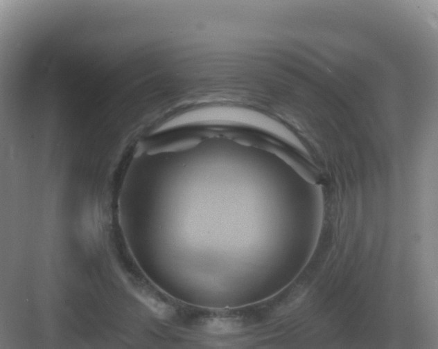 X0000083040303200702091416