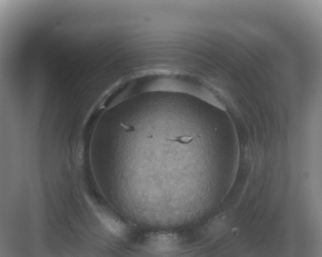 X0000083040304200702091416