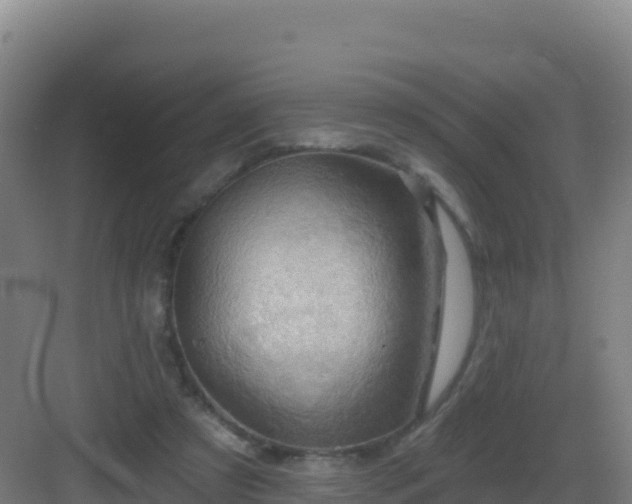 X0000083040305200702091416