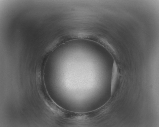 X0000083040306200702091416