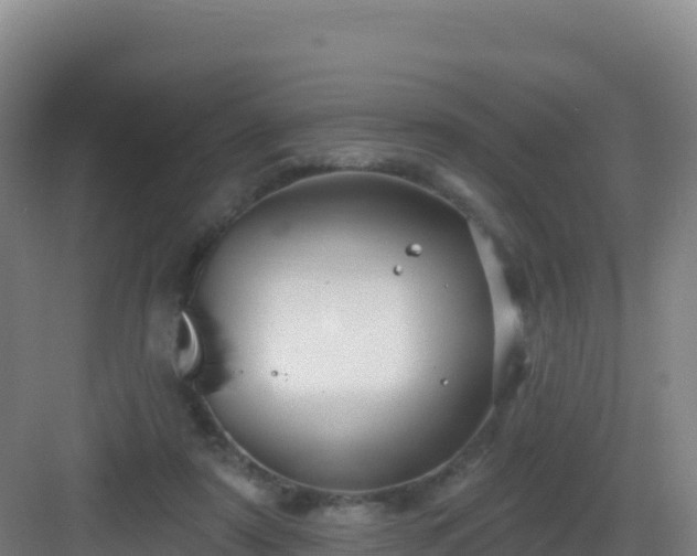 X0000083040307200702091416