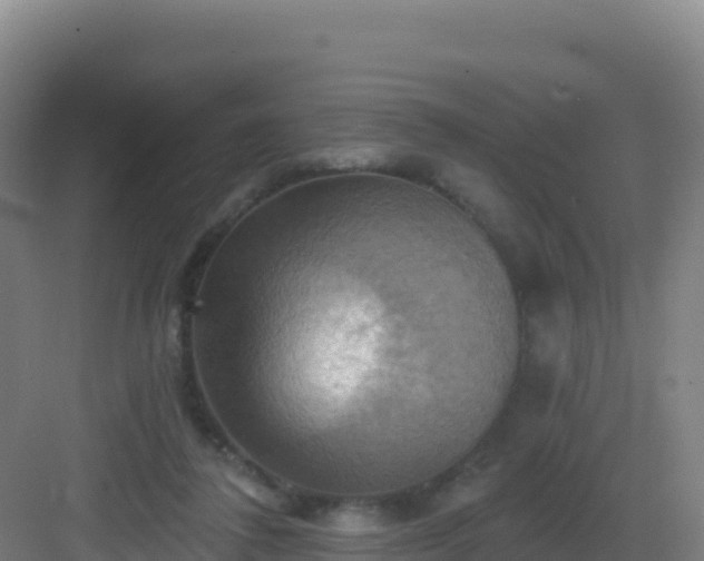 X0000083040308200702091416