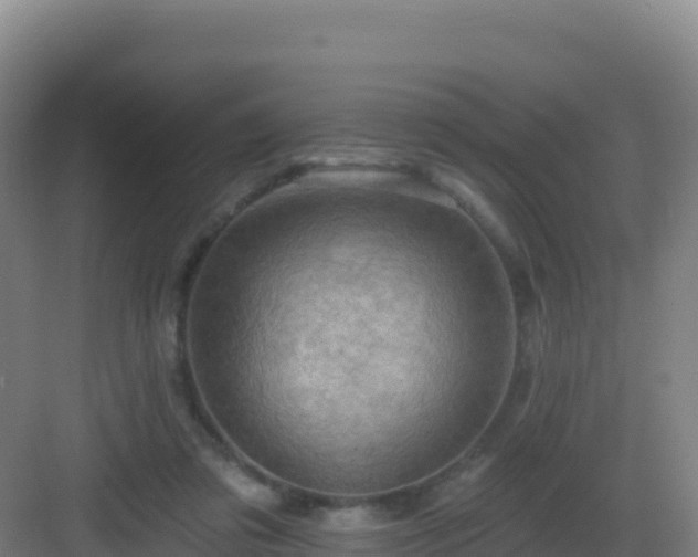 X0000083040309200702091416