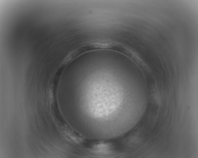 X0000083040312200702091416