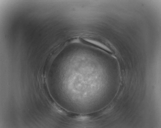 X0000083040313200702091416