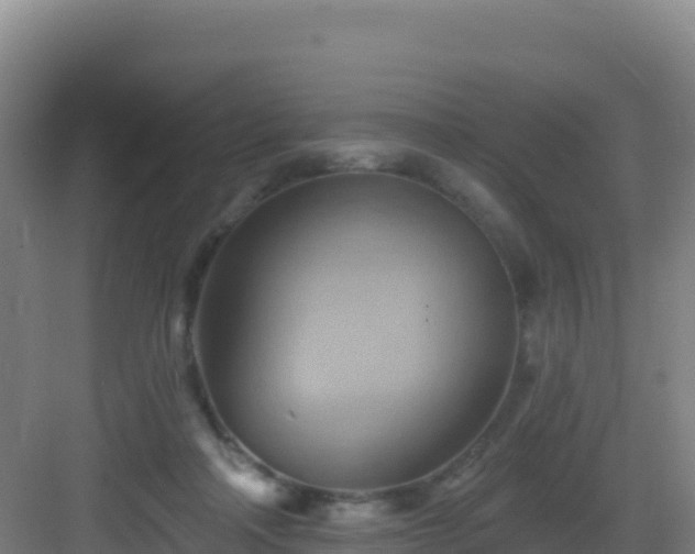 X0000083040314200702091416