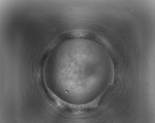 X0000083040315200702091416