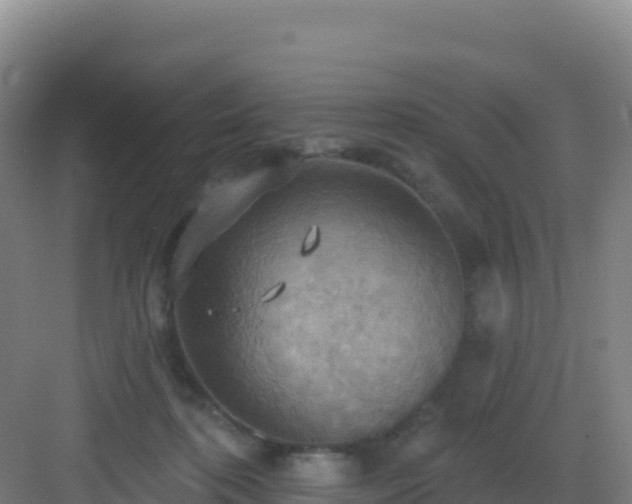 X0000083040316200702091416