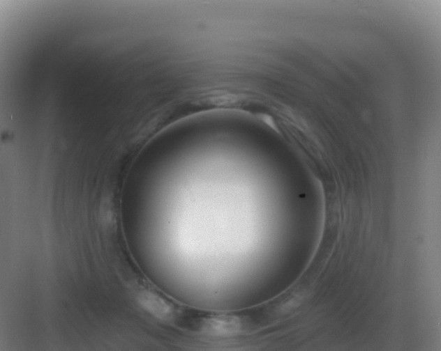 X0000083040317200702091415