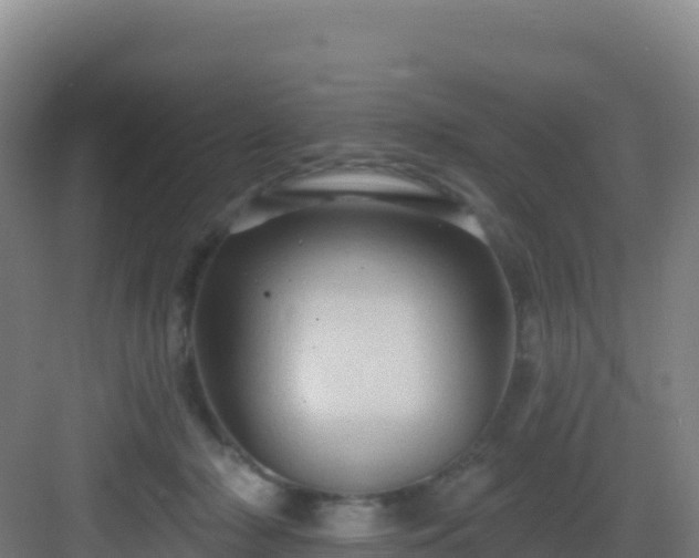 X0000083040318200702091415