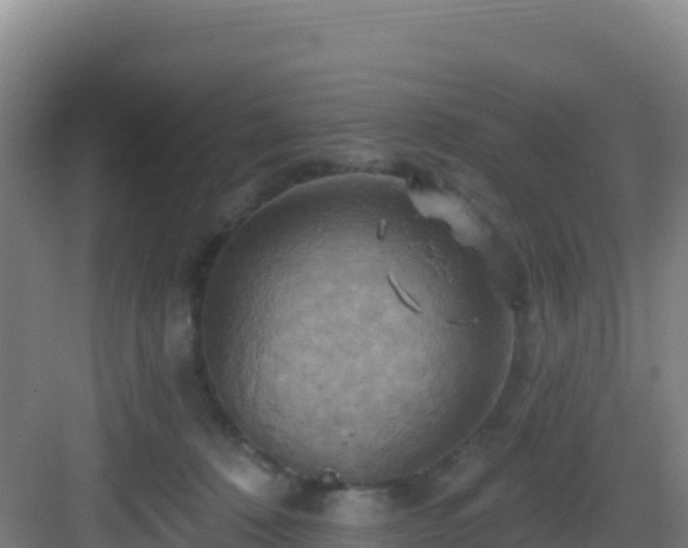 X0000083040320200702091415