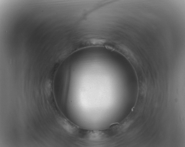 X0000083040321200702091415