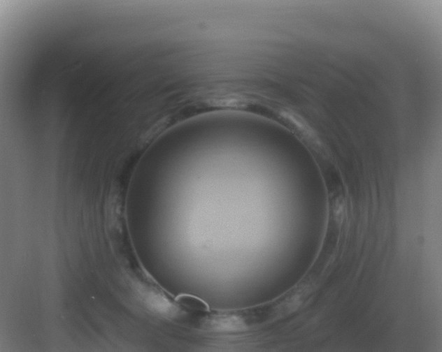 X0000083040322200702091415