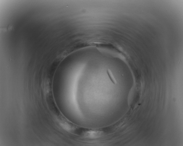 X0000083040323200702091415