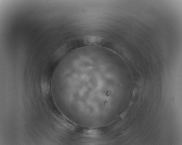 X0000083040324200702091415