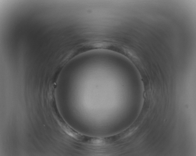 X0000083040325200702091415