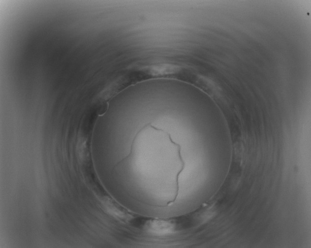 X0000083040327200702091415