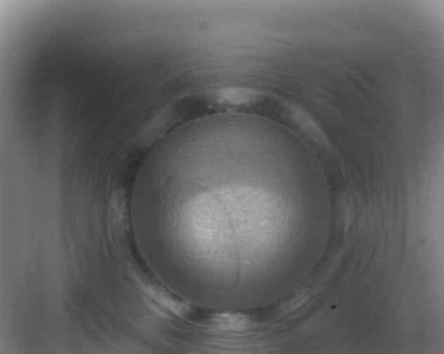 X0000083040328200702091415