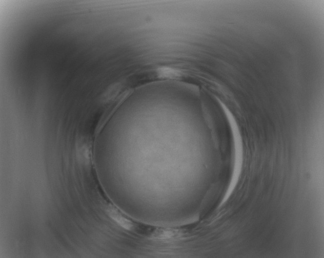 X0000083040329200702091415