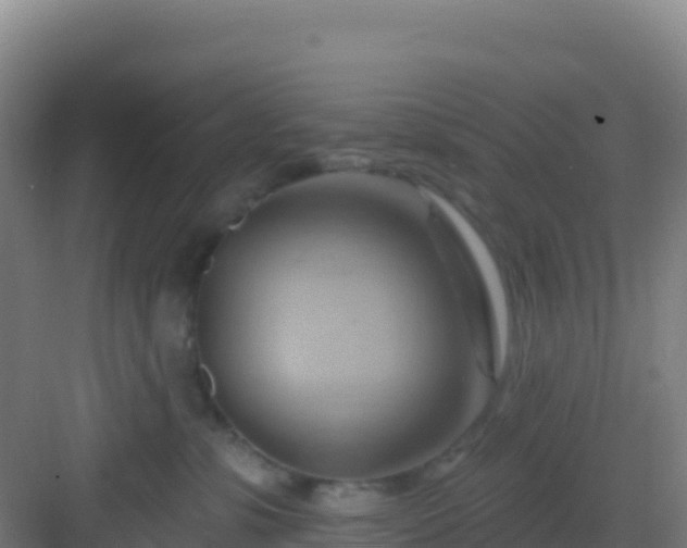 X0000083040331200702091415