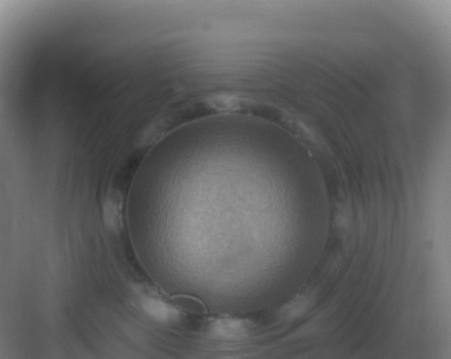 X0000083040332200702091415